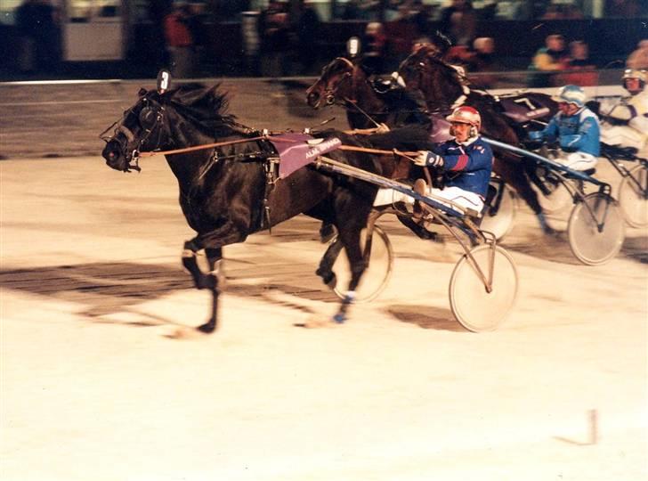 Traver jane bonita billede 10