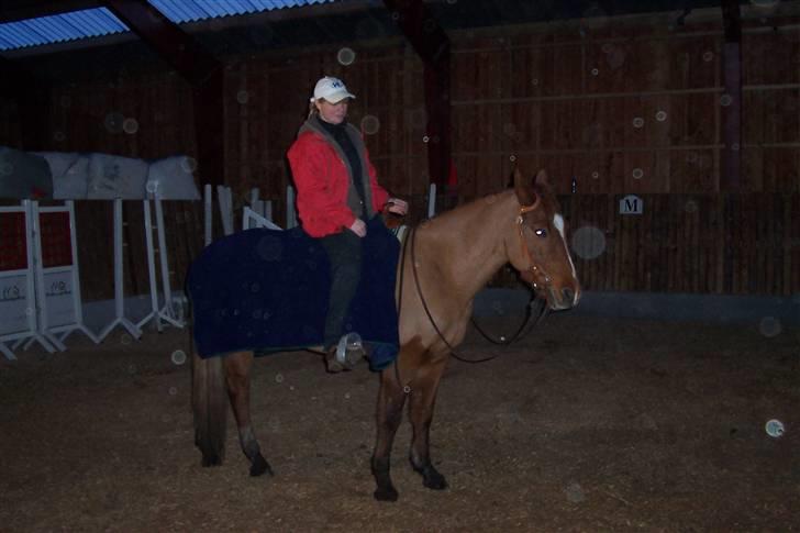 Anden særlig race Toffeeducksthehalfnosedpo - 8/1-08 endnu et aftenbillede fra ridehuset, det er et nyt ridehus, så de rigtige lamper er ikke kommet op endnu billede 8