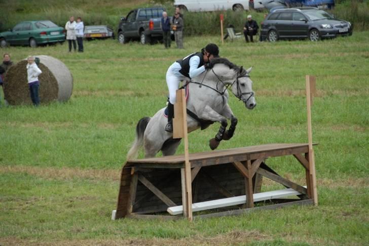 Dansk Varmblod Bakgårdens Samson R.I.P. :'( :'( - B militarystævne i GDR, september 2009, CNC100. Kæmpe kassen, som så enormt stor ud, når man stod på jorden :) men den var slet ikke så slem endda :D billede 1