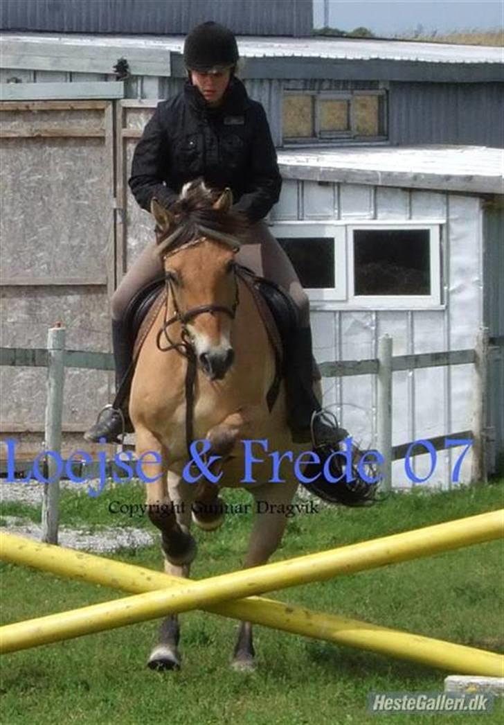 Anden særlig race Frede <3 Lånt Videre :/ - haha, Hvor er det latterlig lille det spring, men hva fa´en, første gang !! <3 Den dejlige dreng <3 billede 6