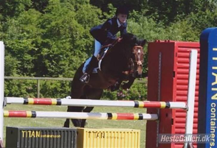 DSP Star(solgt)<3 - star til DM 2005 med min storesøs malle billede 5