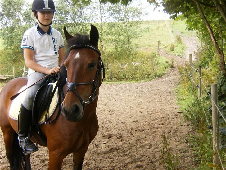 DSP Star(solgt)<3 - Star og Mig! billede 6