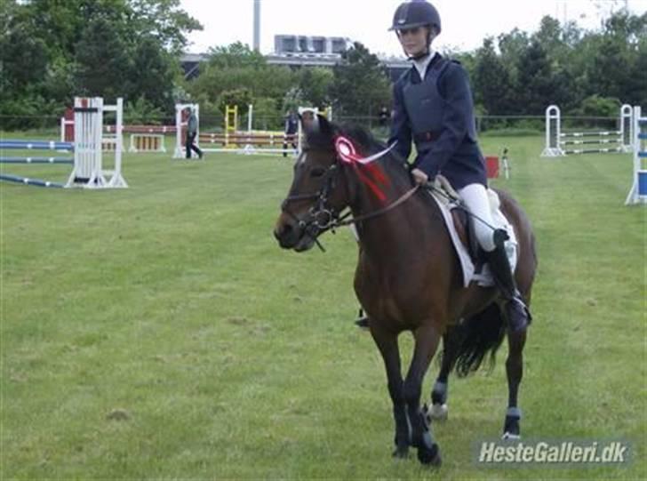 DSP Star(solgt)<3 - star og min store søs´ser malle i stevnstrup de vandt heeh just like always billede 8