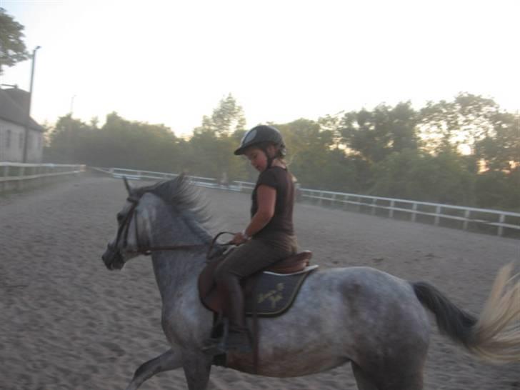 DSP Flicka billede 2