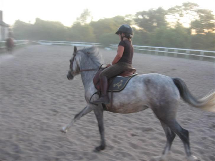 DSP Flicka billede 3