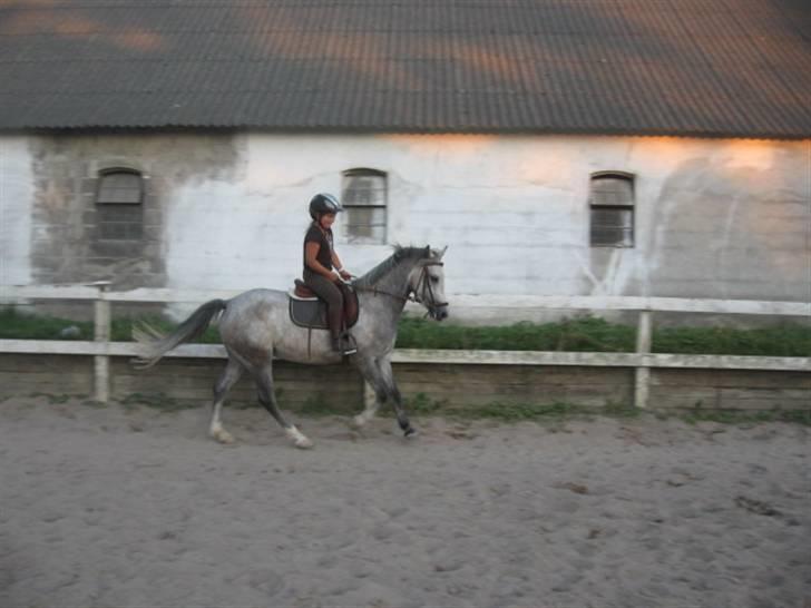 DSP Flicka billede 4