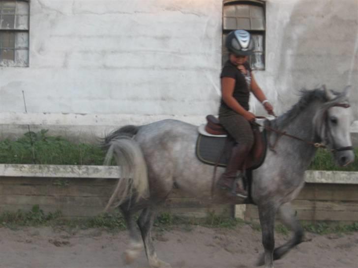 DSP Flicka billede 5