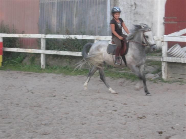 DSP Flicka billede 6