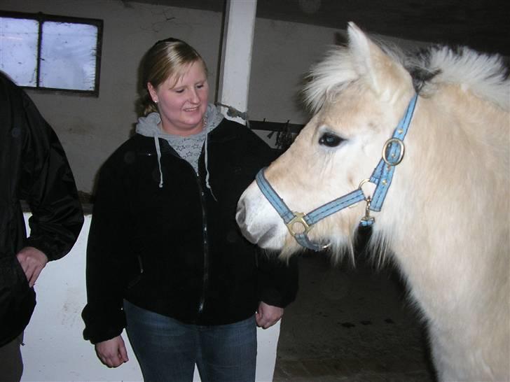 Fjordhest Stella*givet til moster*  - Da vi var ude og se hende for første gang<3 billede 2