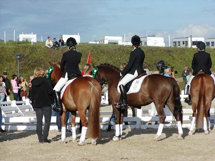 DSP Møgelholts Jambo SOLGT - (fra venstre) Caroline, Mig og Philip til DM :D billede 13