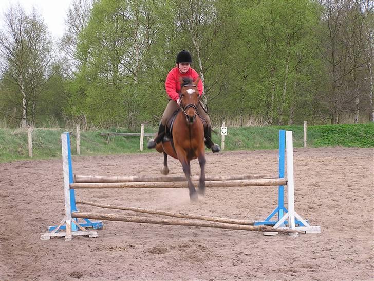 Traver Adonis R.I.P billede 2