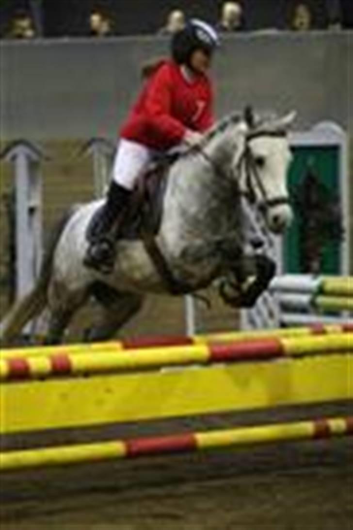 DSP Flicka billede 9