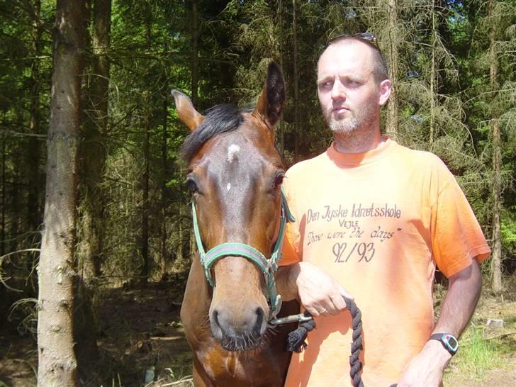 Quarter Stormy Poco Bueno(fars) billede 3