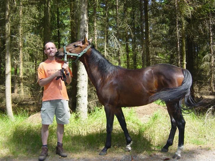 Quarter Stormy Poco Bueno(fars) billede 5