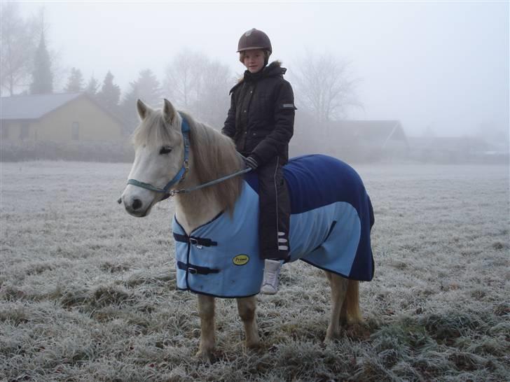 Anden særlig race Shilas - I det fine nye skridtdækken (: billede 2