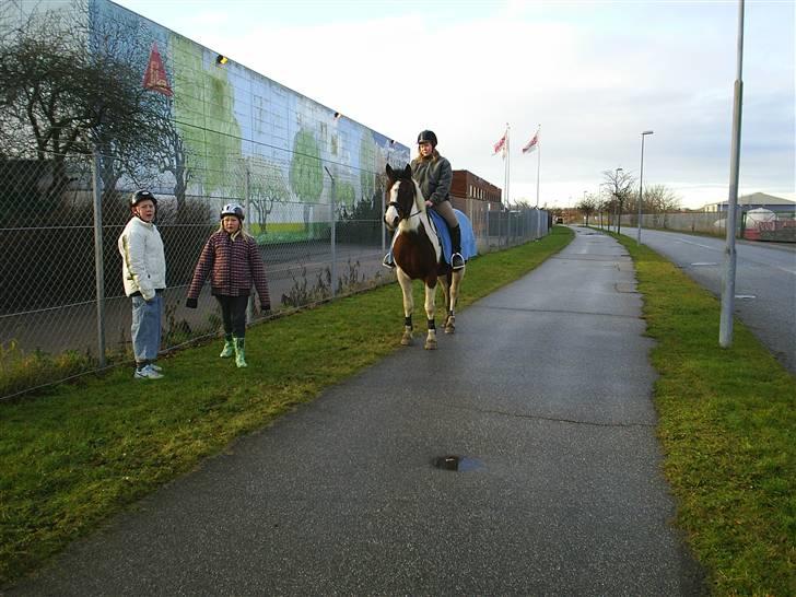 Pinto Kiara *Gammel part* - Første tur på Kiara :) billede 2