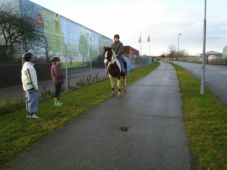 Pinto Kiara *Gammel part* - På den første tur på hende:D billede 3
