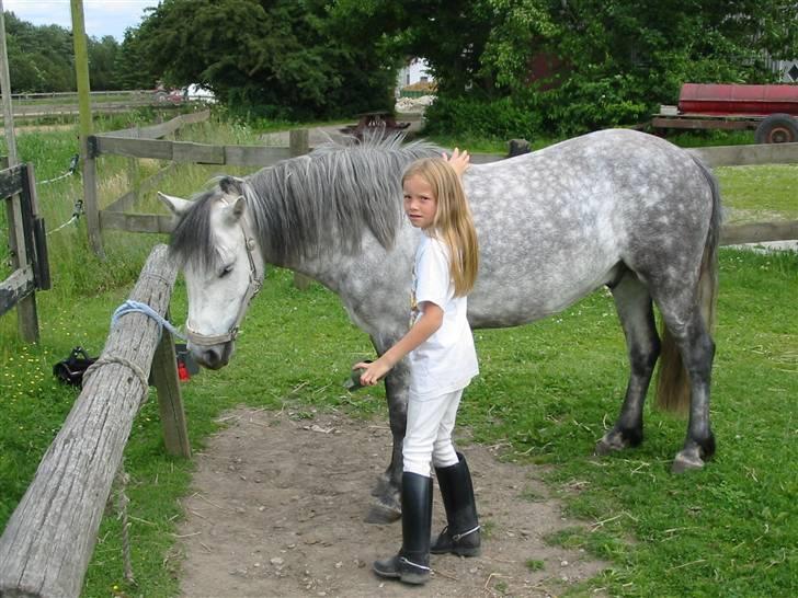 Anden særlig race Shilas - Mig og Shilas fra år 2003 :b Dengang min mørke og æbleskimle pony <3 billede 13