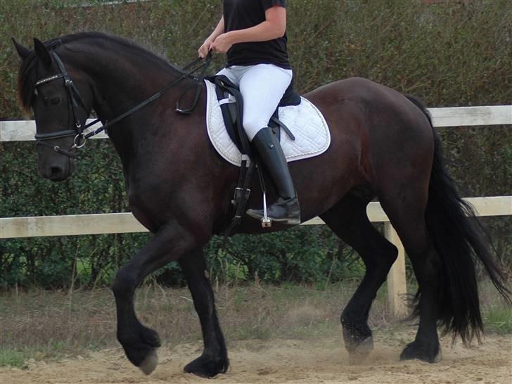 Frieser Natasja von der monden billede 1