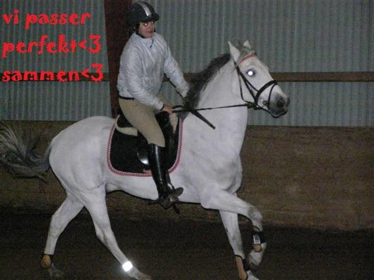 Anden særlig race MILLENIUM(TILBAGE LEVERT) - Min billede 1