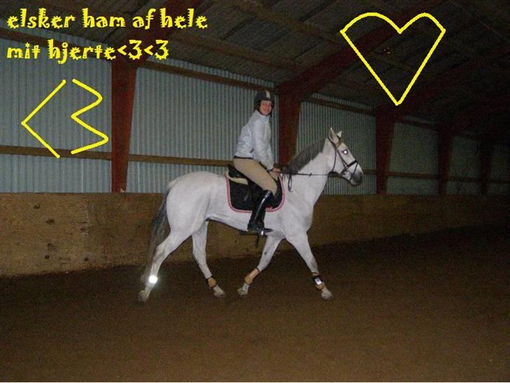 Anden særlig race MILLENIUM(TILBAGE LEVERT) - skath billede 2