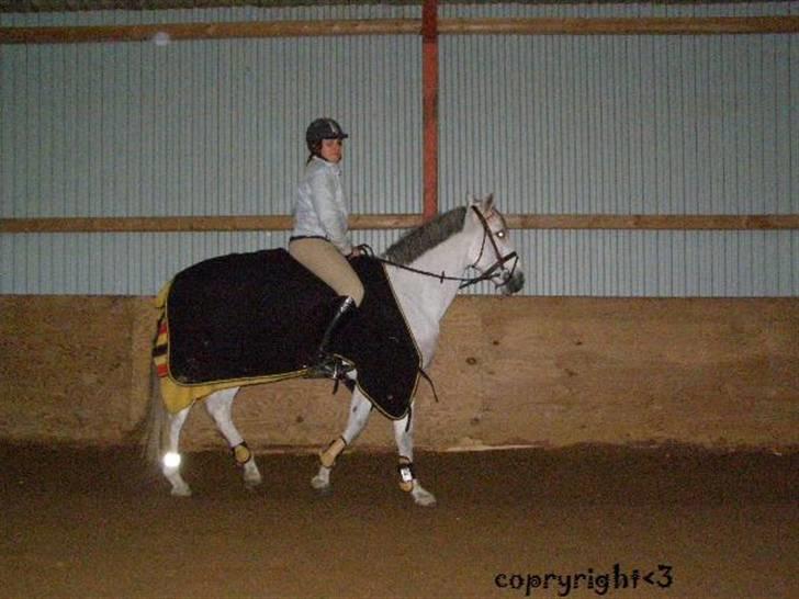 Anden særlig race MILLENIUM(TILBAGE LEVERT) - elsker billede 3