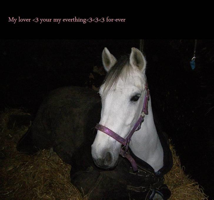 Anden særlig race MILLENIUM(TILBAGE LEVERT) - dig billede 4