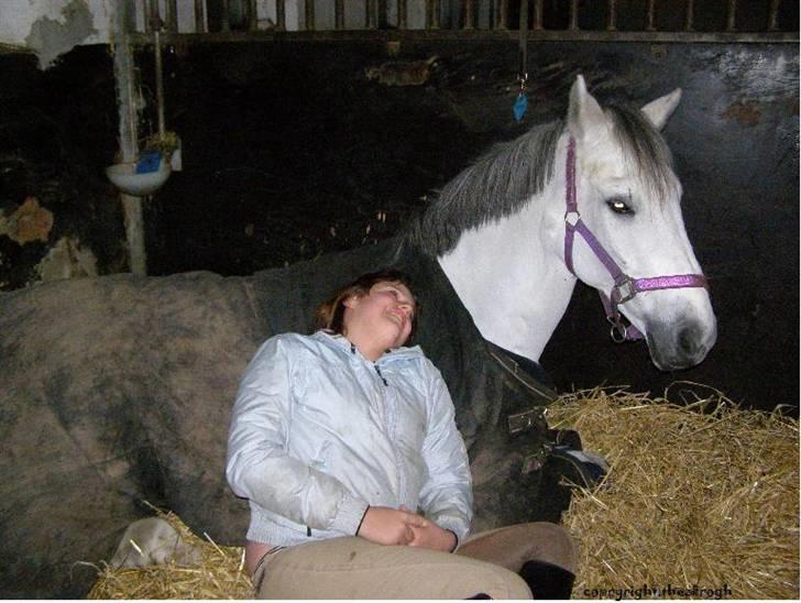 Anden særlig race MILLENIUM(TILBAGE LEVERT) - vi hygger billede 5