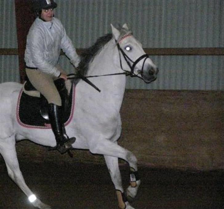 Anden særlig race MILLENIUM(TILBAGE LEVERT) - <3<3 billede 7