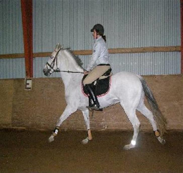 Anden særlig race MILLENIUM(TILBAGE LEVERT) - wiiiiiiiie billede 8