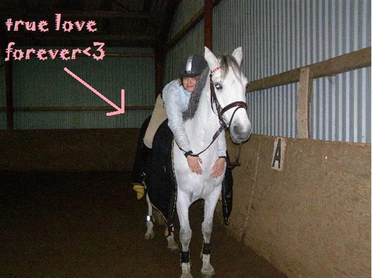 Anden særlig race MILLENIUM(TILBAGE LEVERT) billede 9