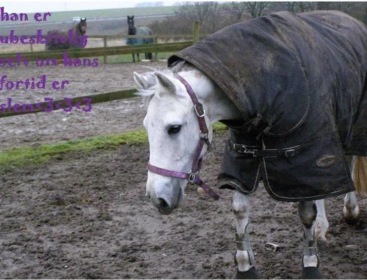 Anden særlig race MILLENIUM(TILBAGE LEVERT) - wow billede 13