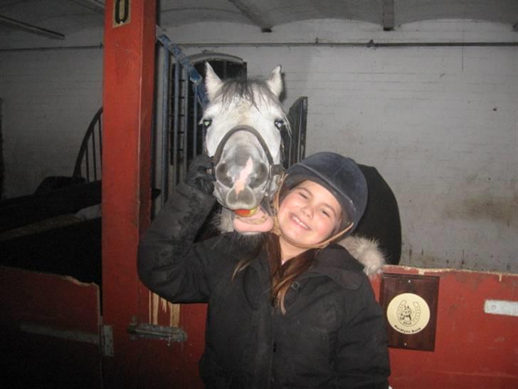 DSP Flicka billede 13