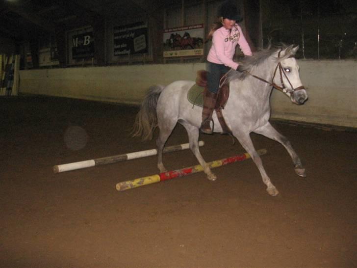 DSP Flicka billede 15