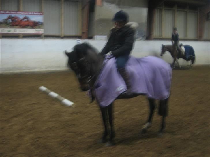 Anden særlig race juni venture billede 3