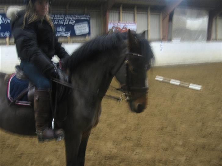 Anden særlig race juni venture billede 4