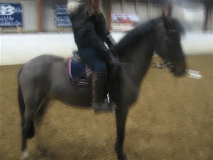 Anden særlig race juni venture billede 5