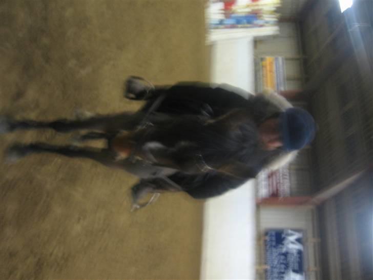 Anden særlig race juni venture billede 6