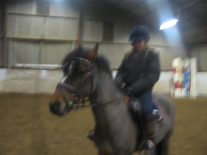 Anden særlig race juni venture billede 7