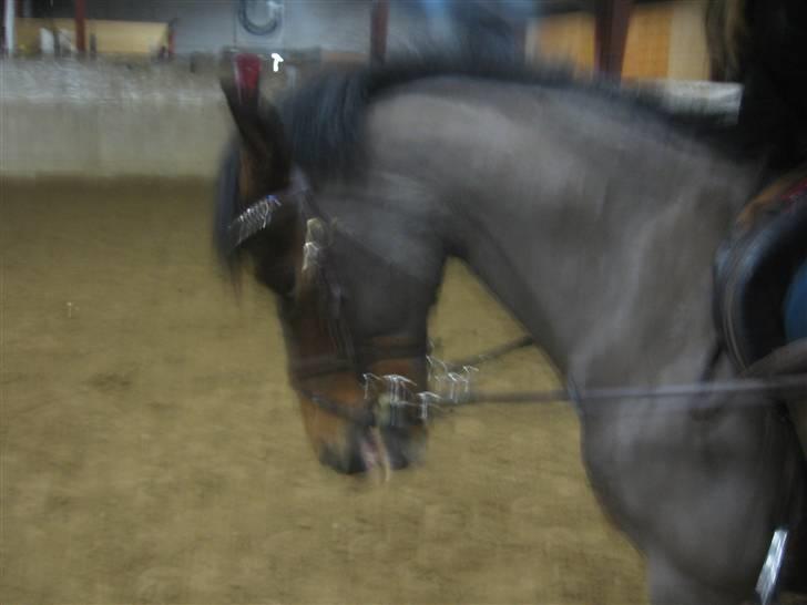 Anden særlig race juni venture billede 9