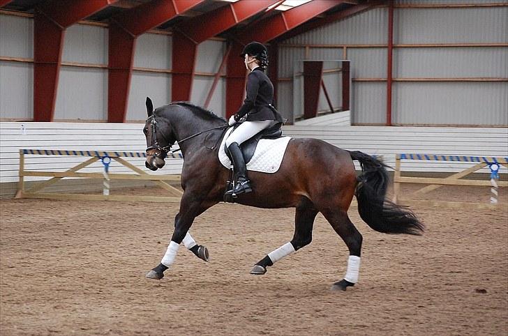 Oldenborg Maks af Hejring - Maks og Louise stævne april 2010. Foto: Sanne Kolind. Flere billeder fra denne dag i fotoalbum.  billede 17