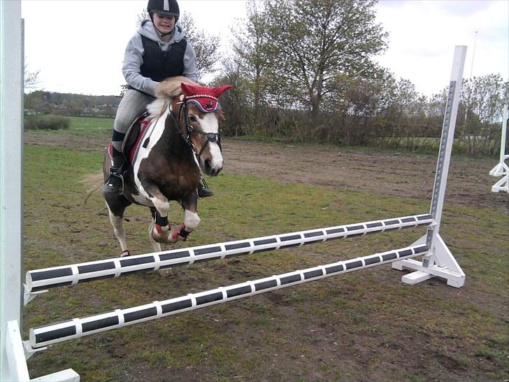 Anden særlig race Dolly - Stine&Dolly(:  billede 8