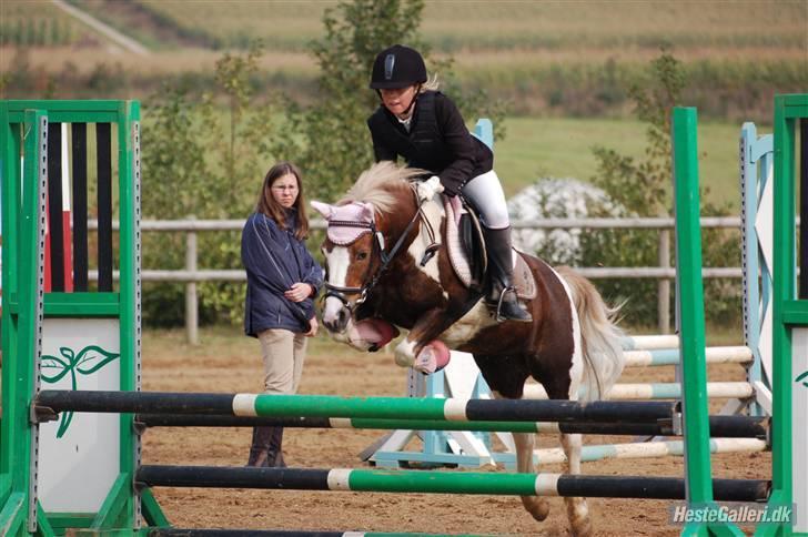 Anden særlig race Dolly - Mig&Dolly(: billede 9