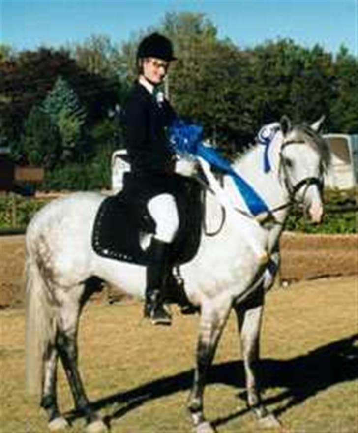 New Forest Firfod Firspring - Svante og Sprunge.  billede 4