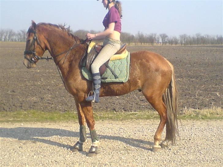 Anden særlig race Mr. Fahrenheit (SOLGT) - Mr. Fahrenheit & min bedste veninde. på tur i sommers. det var rigtig varmt den dag, såeh, vi smed skoene og tog trøjerne op :). hehee, det var rigtig sjovt ! :o) billede 7