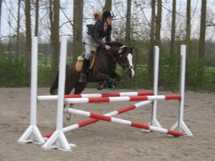 Anden særlig race Tilde - tilde springundervisning LA xD tak for billedet Josse<3 billede 16