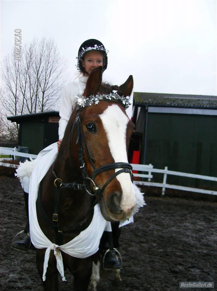 Anden særlig race Tilde - Tilde og jeg som engle. Vi vandt for bedste udklædning <3 billede 18