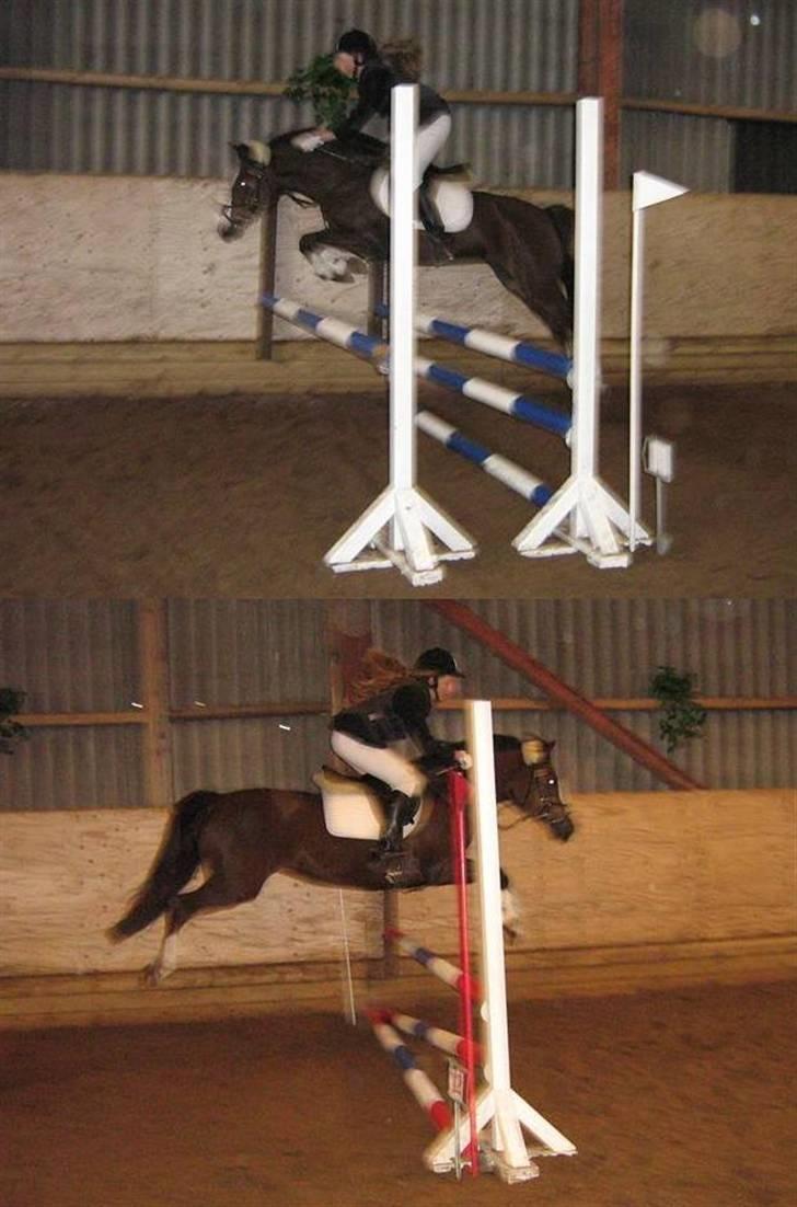 Anden særlig race Tilde - Tilde i LC & LB <3 Tilde elsker dig<3 billede 19