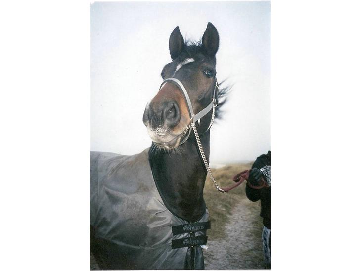 {{currentPhoto.altText}} billede {{currentPhoto.number}}