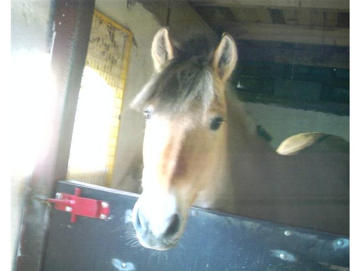 {{currentPhoto.altText}} billede {{currentPhoto.number}}